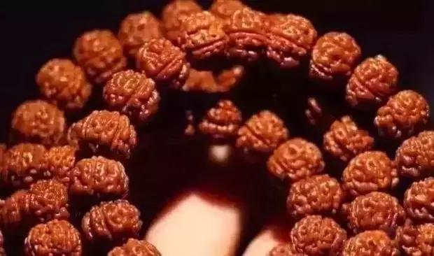 金刚菩提万元,金刚菩提怎么提升价值