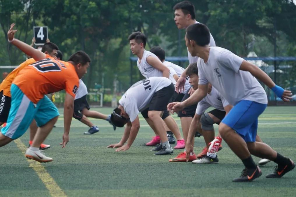 冠军之路|冠军已成GOCROWS