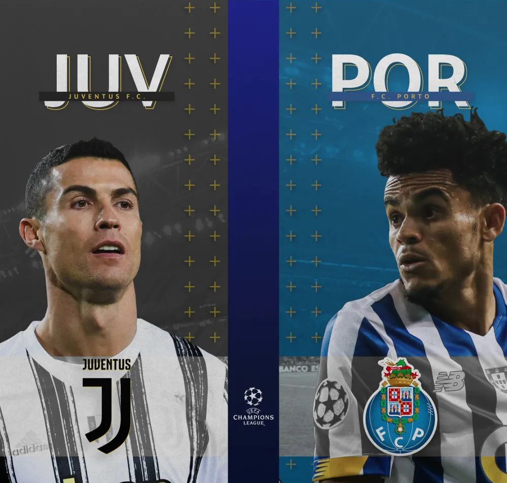 巨龙困斑马，黄蜂覆脸盆