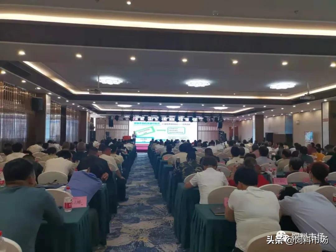 山东活力集团青岛,活力集团新品发布会