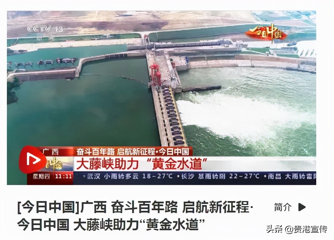 牛犇犇直播视频,牛犇直播人气