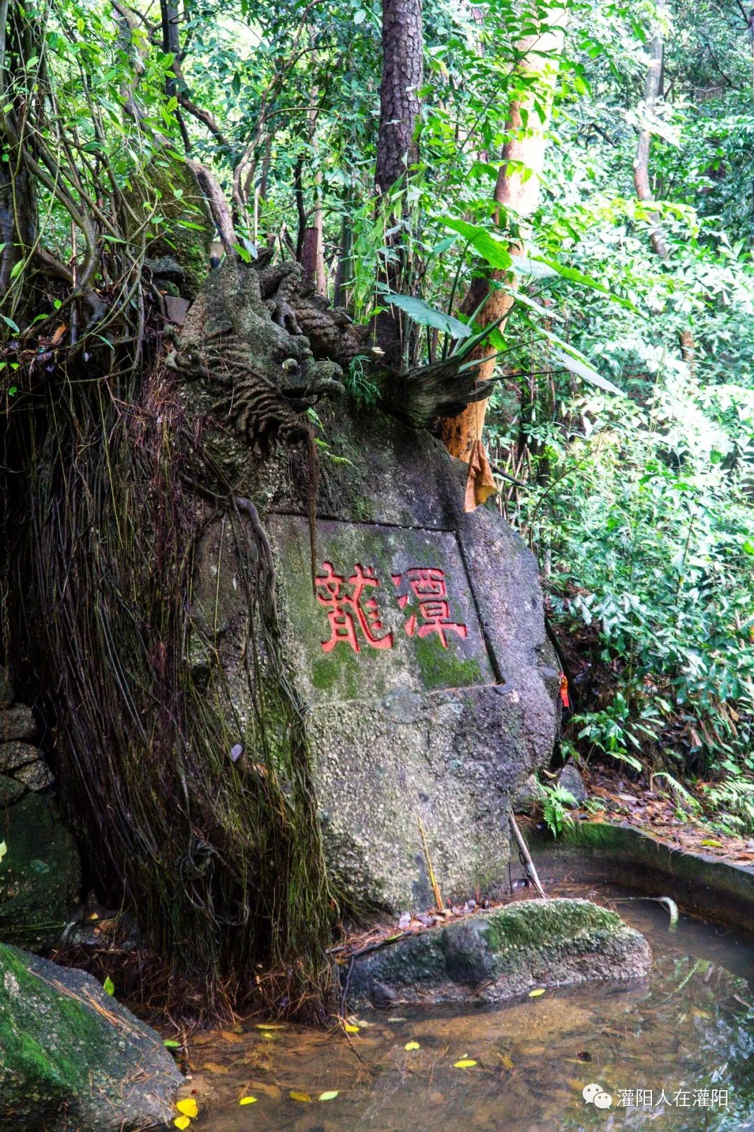 广西桂林灌阳县旅游,灌阳人在柳州
