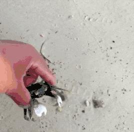 玉米地发现不明液体怎么办,玉米地发现的怪事