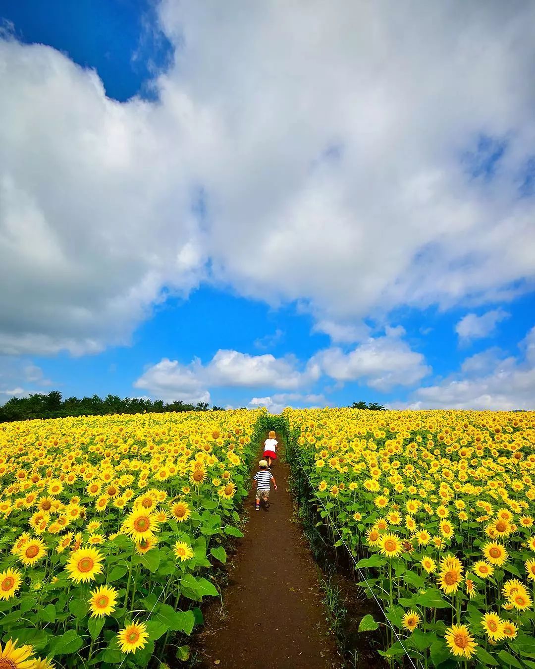 日本一爸爸拍摄女儿和儿子的照片火遍ins！我都想生娃了…