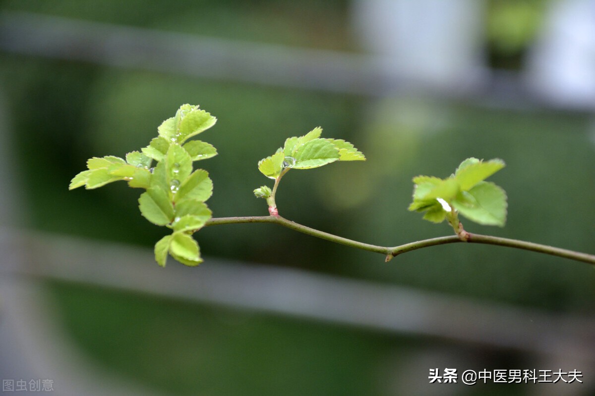肝郁脾虚是情志病怎么治好,情志不畅中医辨证