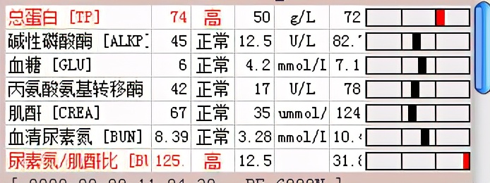 如果狗狗被抓伤了怎么办,如果被狗狗咬伤了怎么办