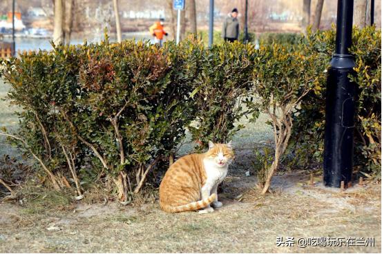 兰州体育公园全民健身运动会,数九寒天体育