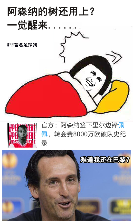 叫尼古拉斯的球员,尼古拉斯真正的样子