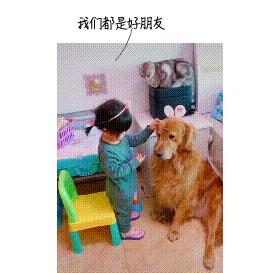 被猫狗咬伤如何正确处理,被猫狗咬伤十天了还能打针吗