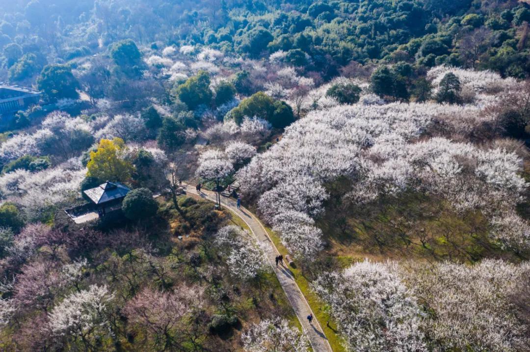 十一杭州景点攻略,杭州景点旅游攻略5天