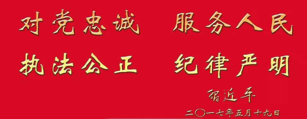 我为群众办实事真实案例,我为群众办实事之立案篇