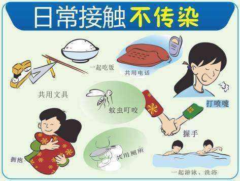 日常生活会传染乙肝不,日常生活接触会传染hpv病毒吗