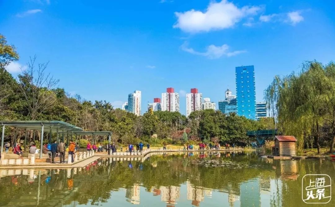 生日当天上海免费景点,上海网红打卡地点景点免费
