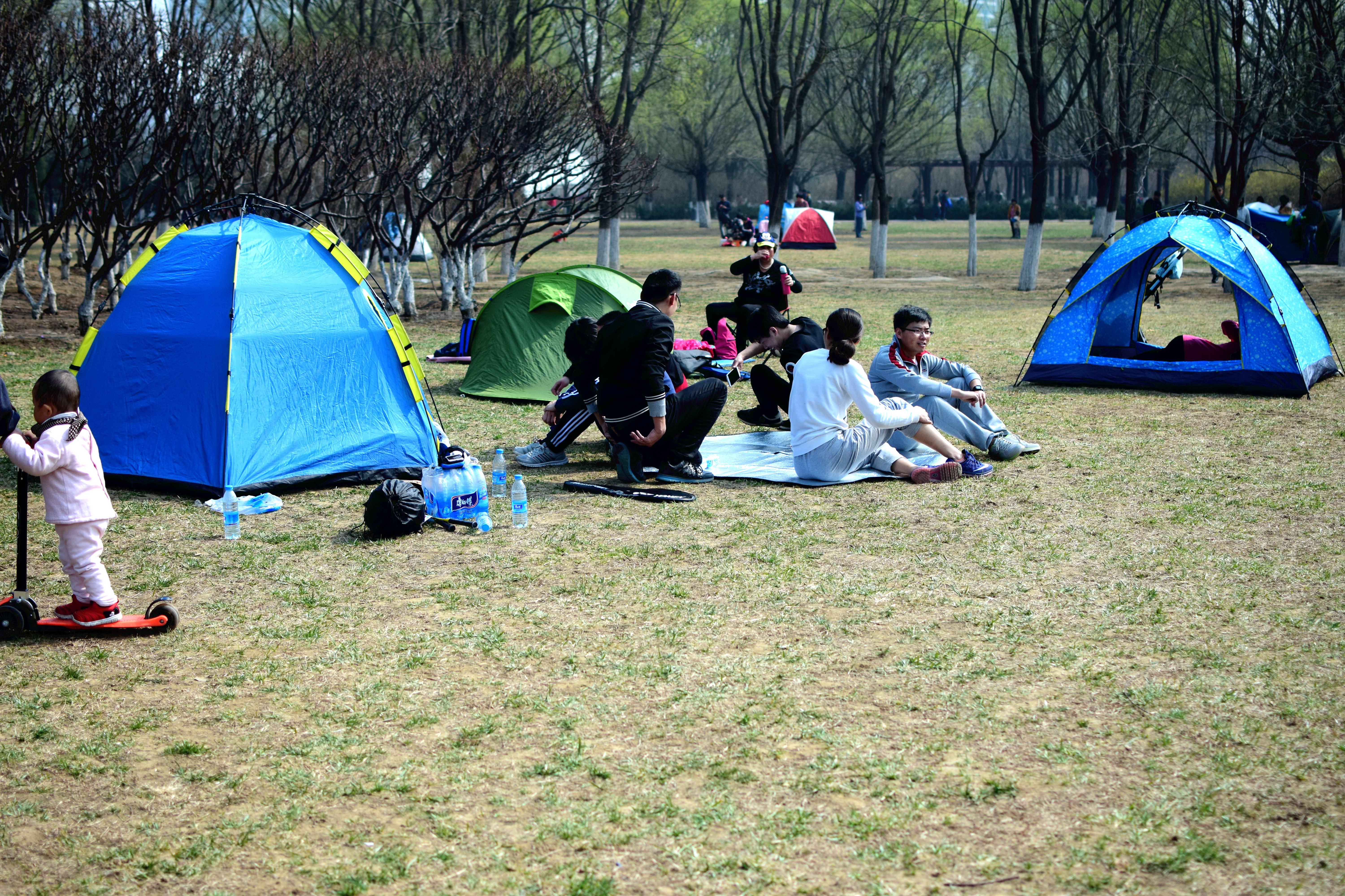 北京奥森开始限流，不允许游客带帐篷，这种场面暂时不会出现了