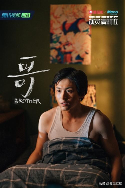 情深深雨蒙蒙艺人重聚赵薇,琼瑶歌曲赵薇情深深雨蒙蒙