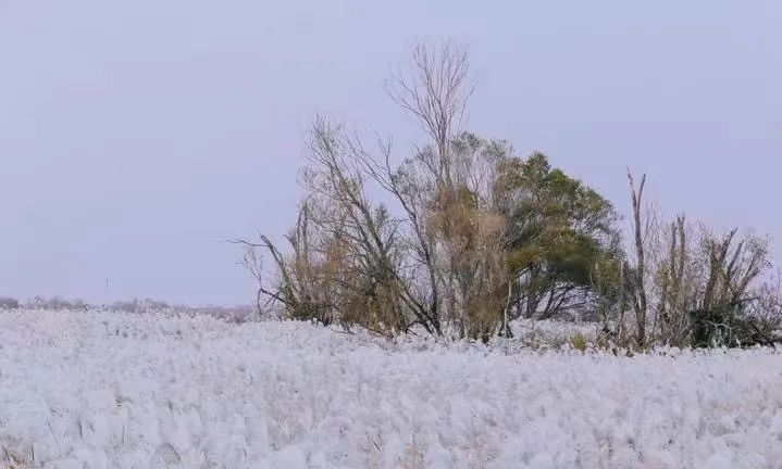 山东东营位置,这就是东营