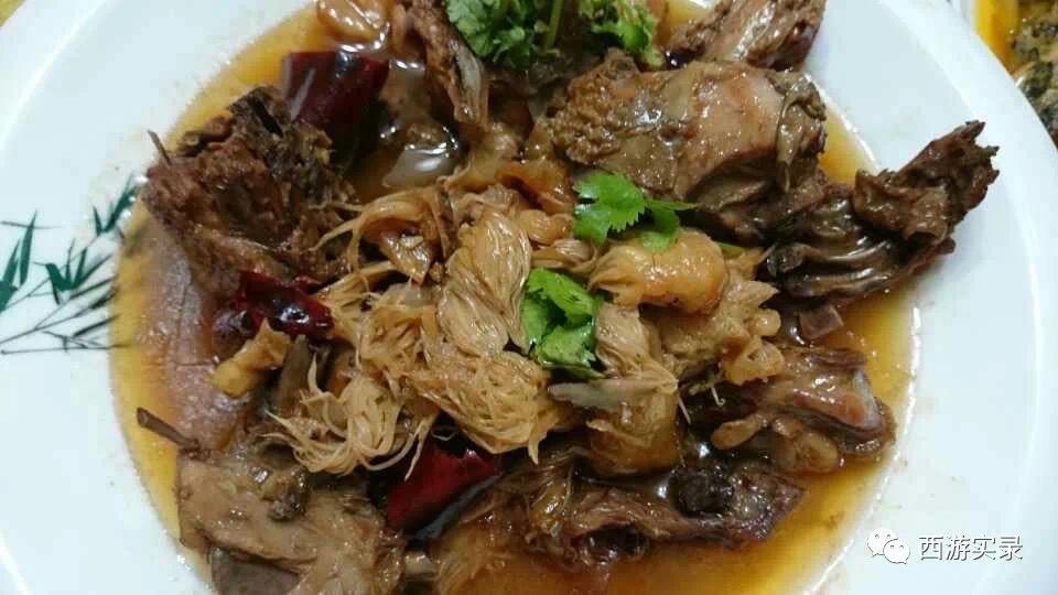 自驾环游世界第一人，一次连续跨越五大洲20万公里吉尼斯世界纪录