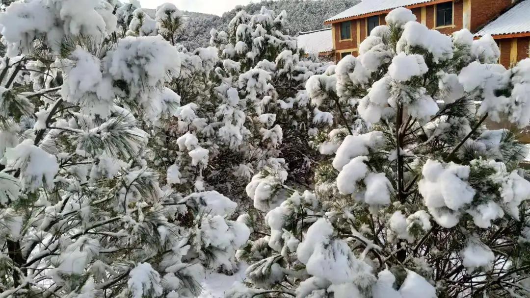 2024攀枝花旅游,攀枝花旅行榜单