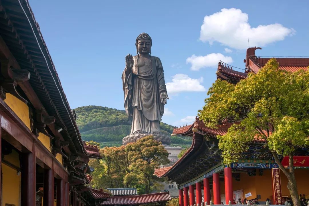 世界最美赏樱地,武汉是全球公认的三大赏樱胜地