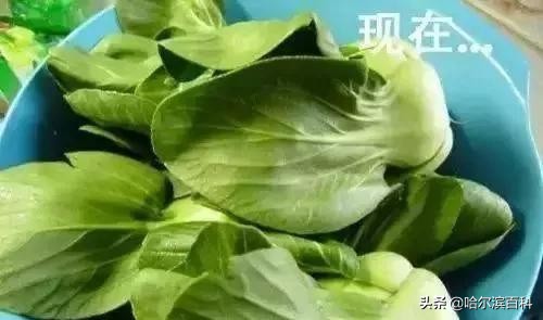 老人拿着61年前40元存款到银行,老人翻出62年前6元股金证