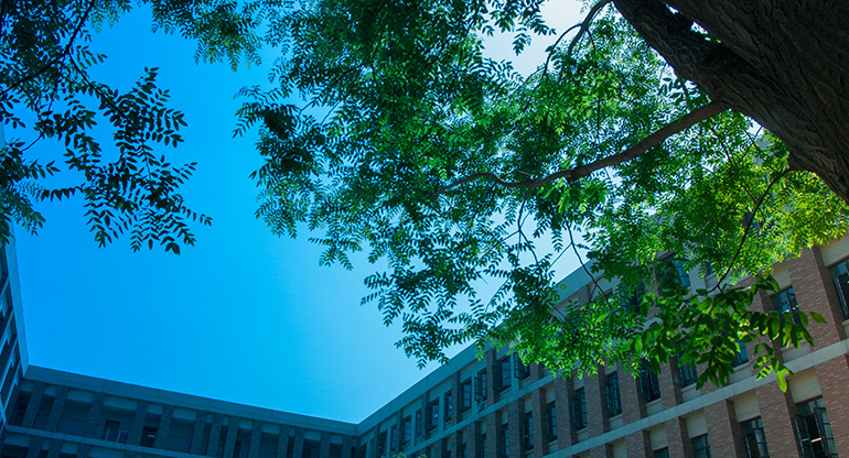 郑州一八联合国际学校初中升学率,郑州一八初级中学郑中国际