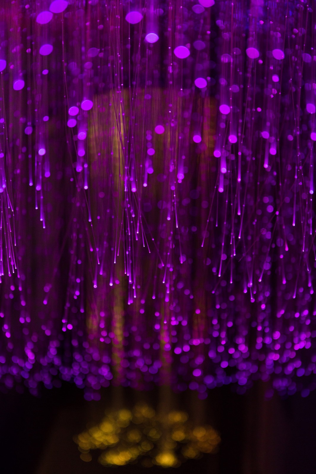 保定卉咖啡生活馆公园时代店,卉咖啡生活馆公元时代店保定