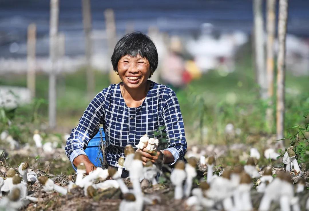 澶栧褰㈣薄鍐呬慨姘旇川,鍐呮彁淇吇澶栨彁褰㈣薄