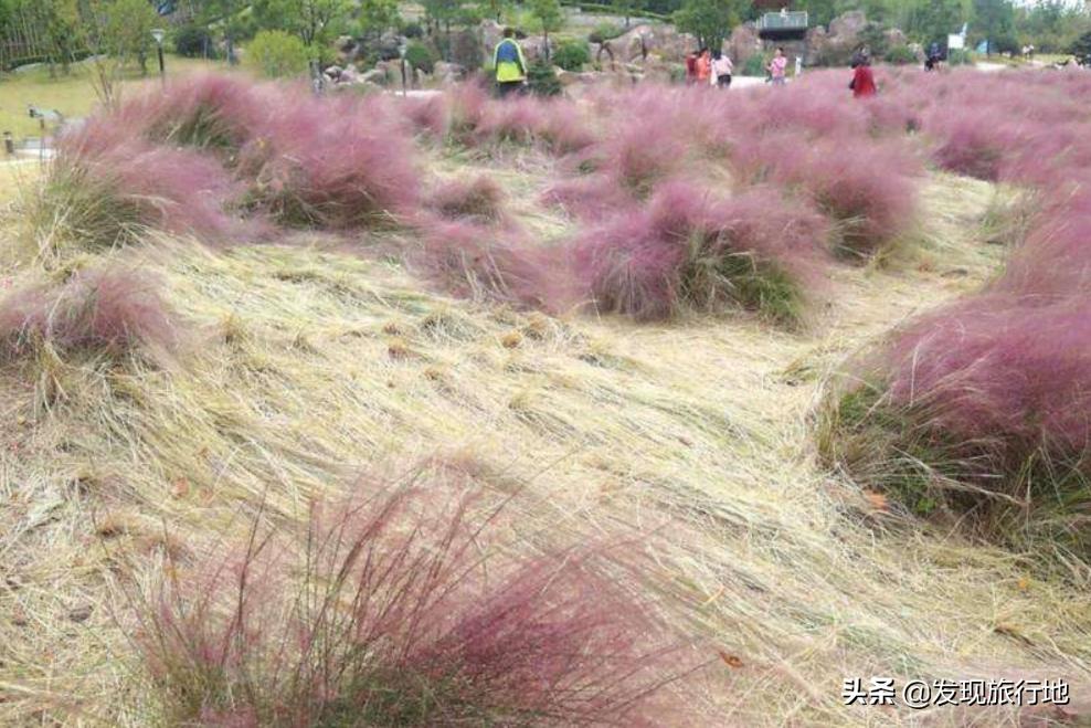 我们用来扫地的东西，在日本身价翻了千倍，还变成了旅游地标