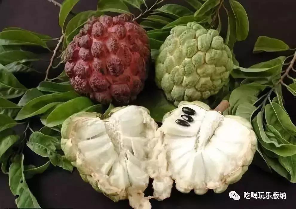 西双版纳这些奇特的水果，作为吃货的你都吃过哪些