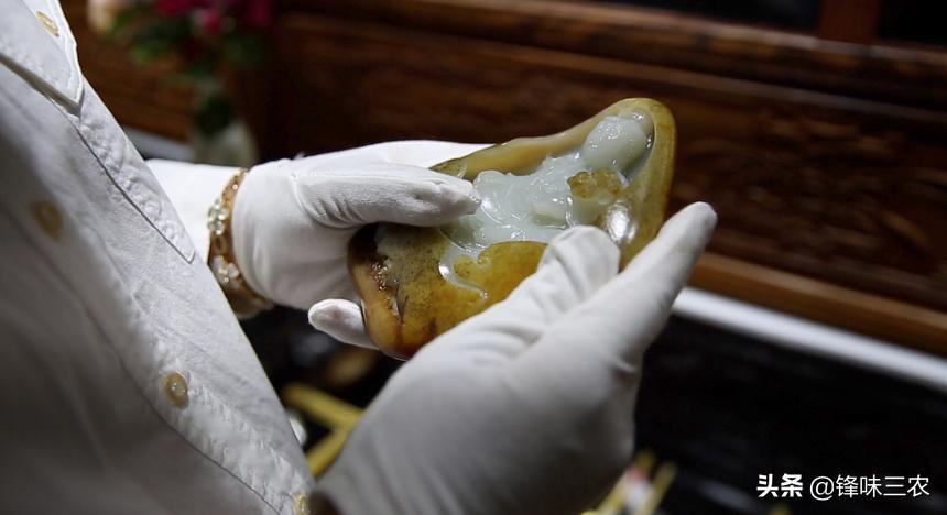 济南树状月季基地,济南藤本月季种植基地