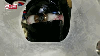 ai作画软件价格,ai作画第一名