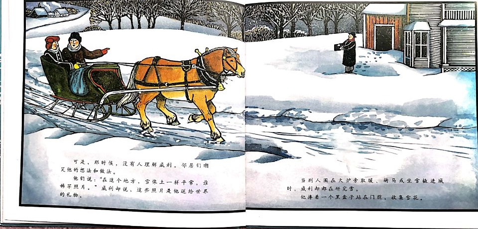 凯迪克金奖绘本,绘本雪花人读后感