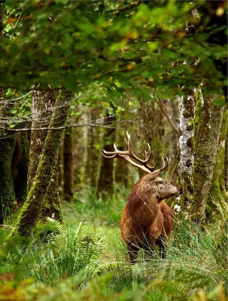 世界上哪些国家禁止离婚,世界上禁止离婚的国家高清视频