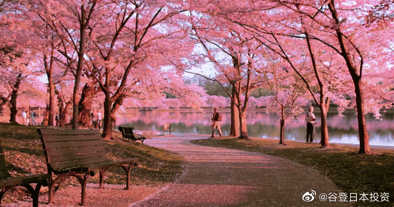 2021日本出国签证什么时候能办,2022年日本商务签证办理需要多久