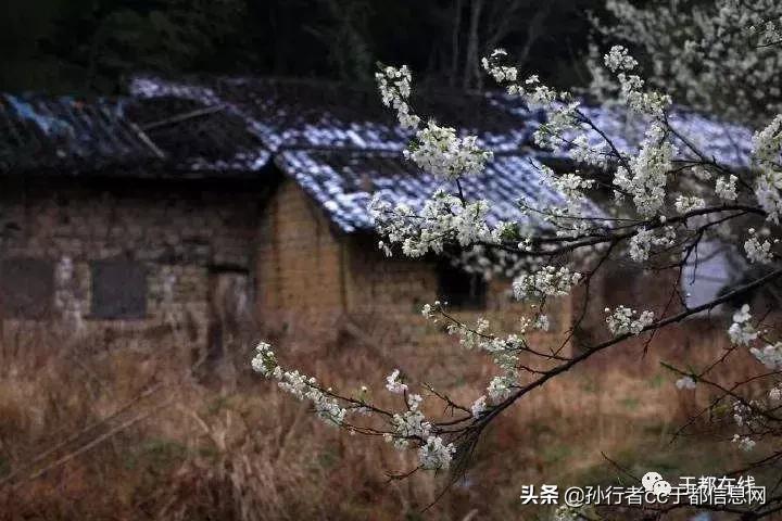 于都的故事传说,于都民间传说真实故事