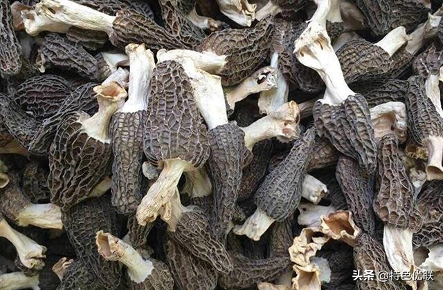 成都哪买特产便宜,四川成都十大特产