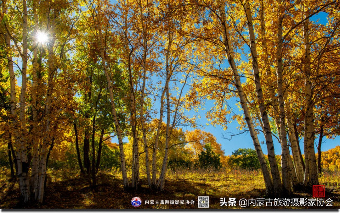 那山那水那味道,那山那水那份爱