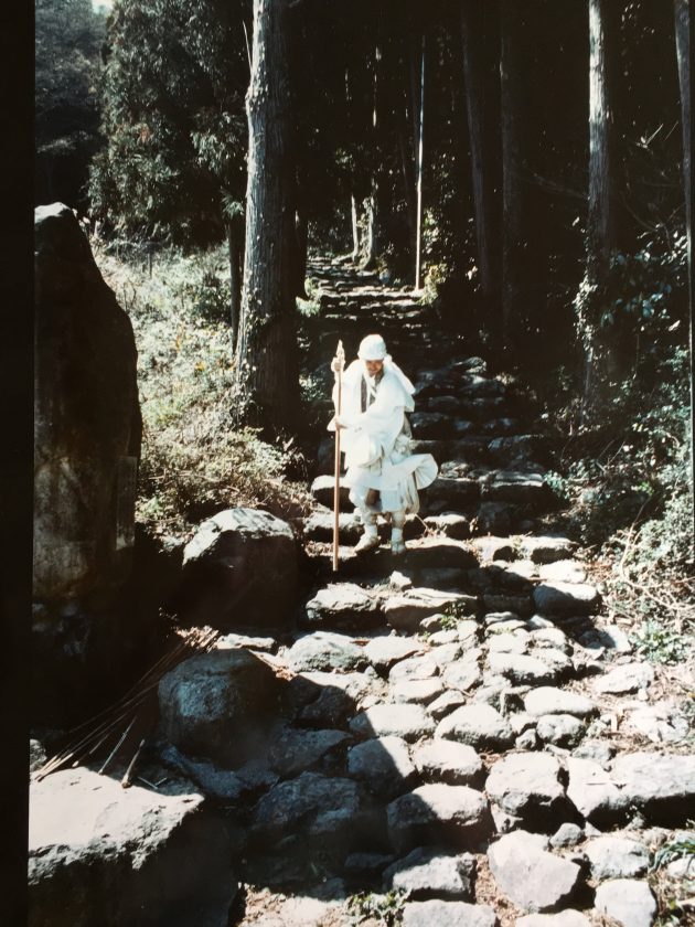 关于日本的狗,为什么日本的狗这么受欢迎