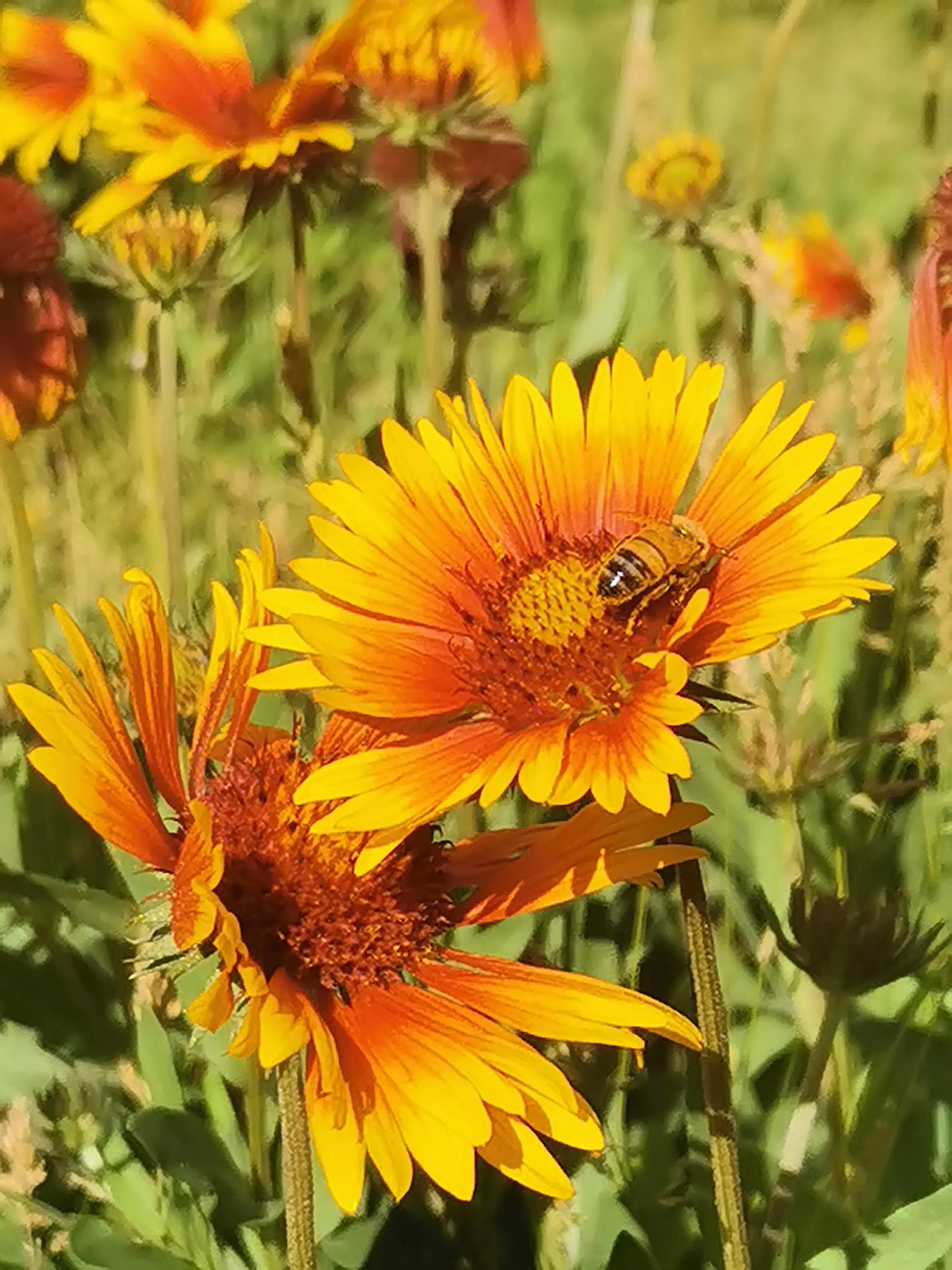 采几许光阴，书一纸年华