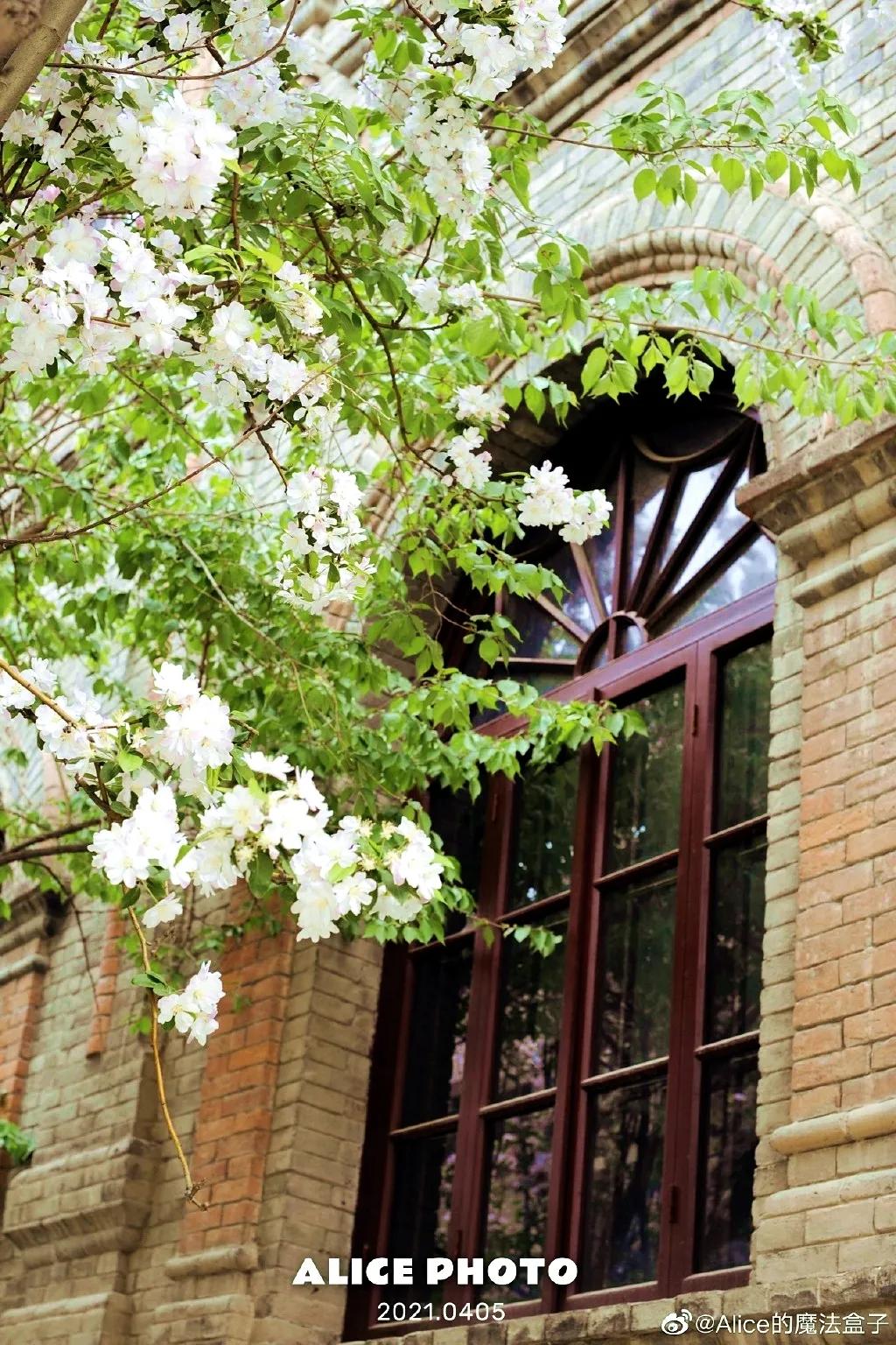 天津市南开中学全国排名,南开中学在全国有几所