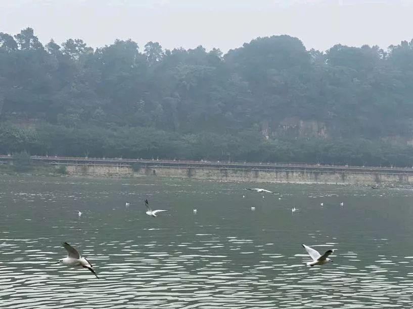 让90％成都人专程跑去吃的美食地，我们替你挖出来了