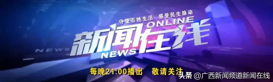男子当街踢死小猫确认死亡后离开,广西男子一脚踢死小猫后续