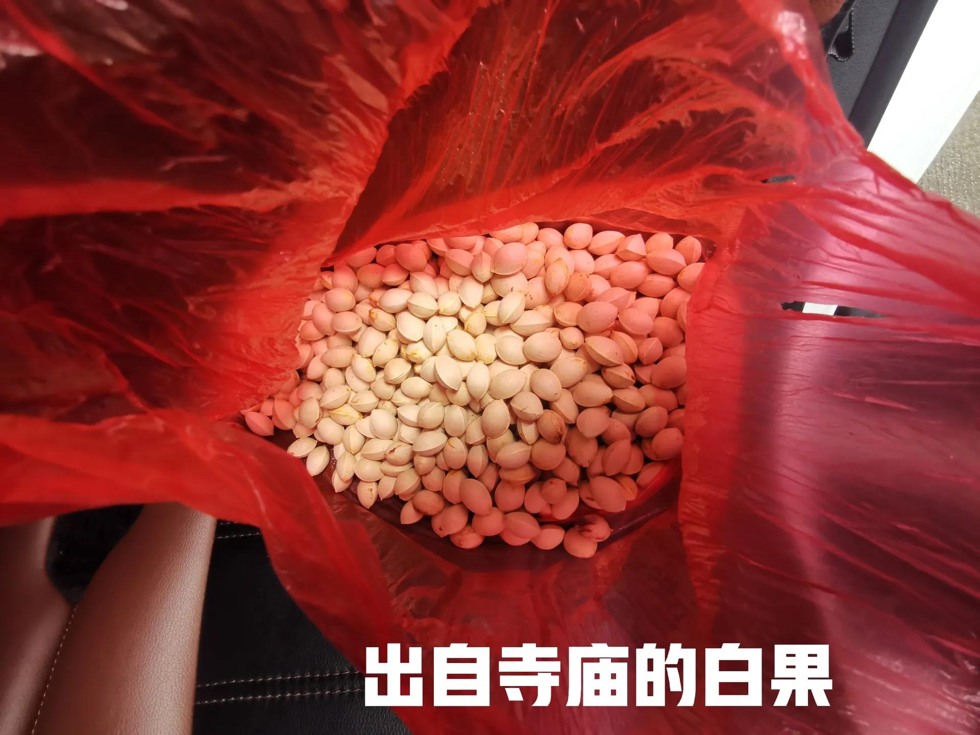 自我隔离第八天,自我隔离第七天怎么样