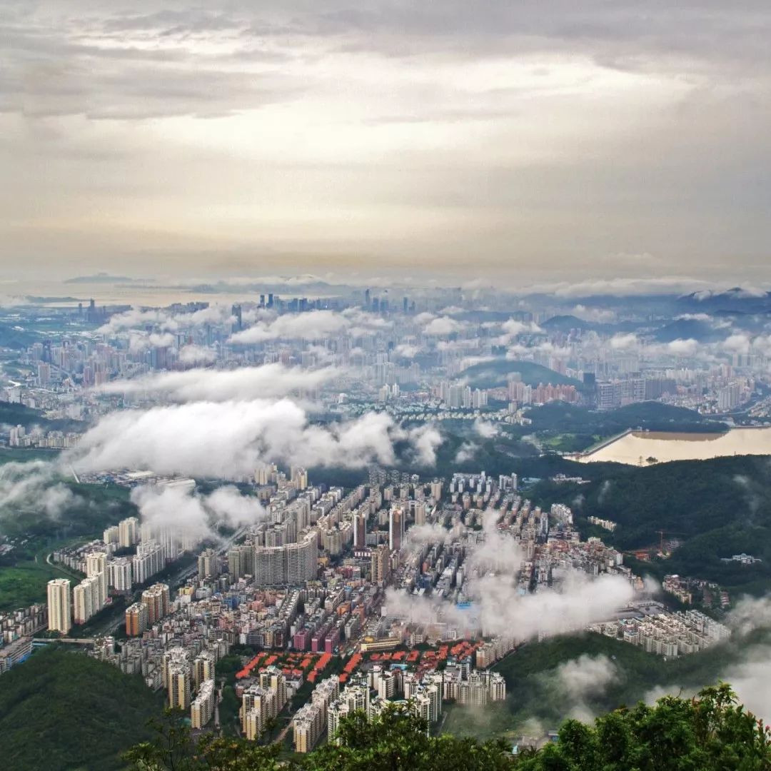 悦赏|这个展览，罗湖人不去看真的会后悔！