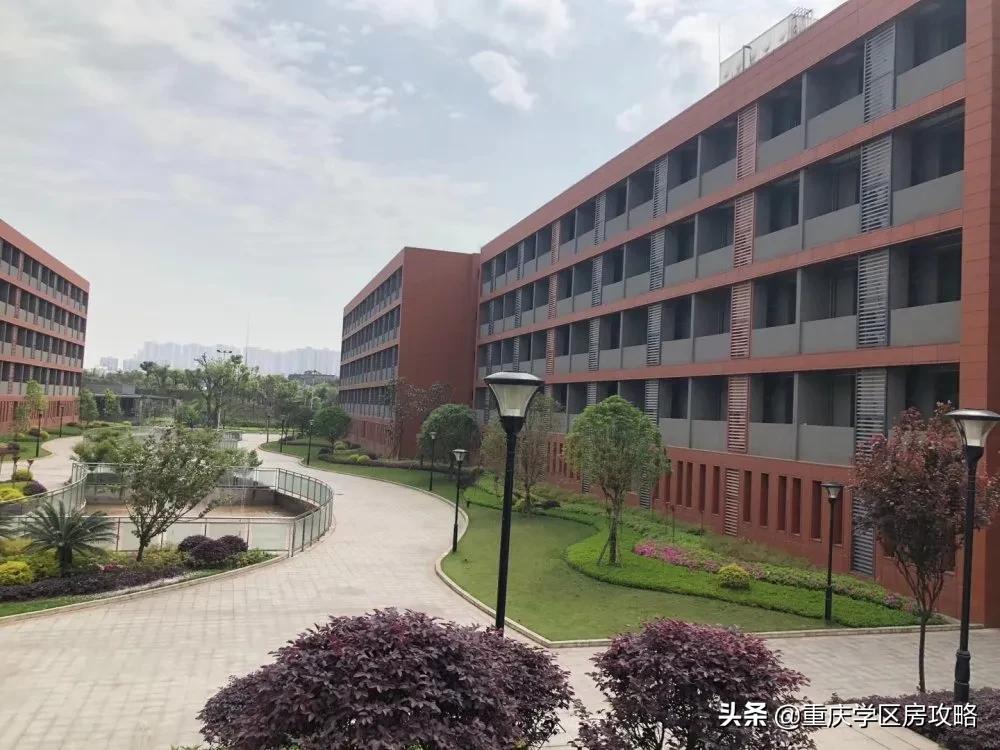 南岸初中学校排名2024,南岸区初中学校推荐