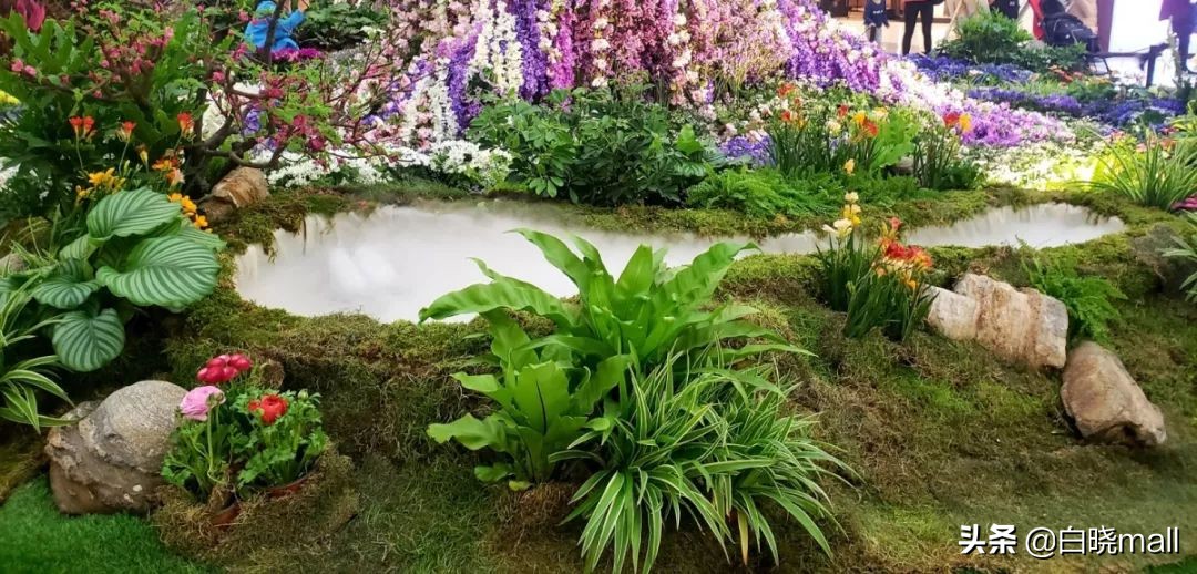 打卡朝阳大悦城,打卡朝阳餐厅