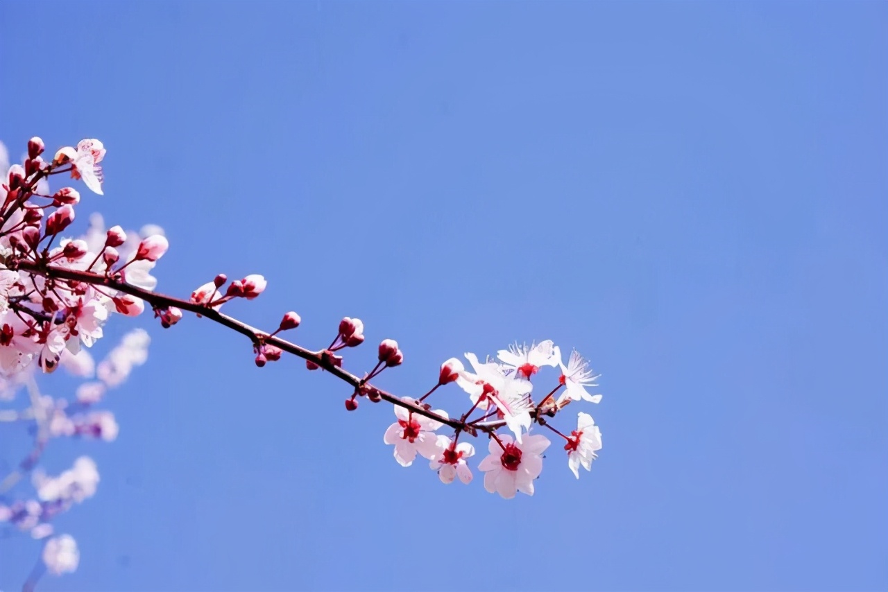彼此嫌弃互相治愈,相互嫌弃相互治愈