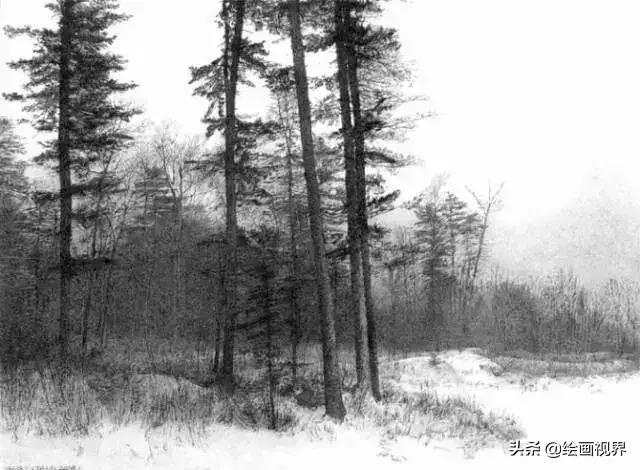 不会画就别学,不会画素描写生