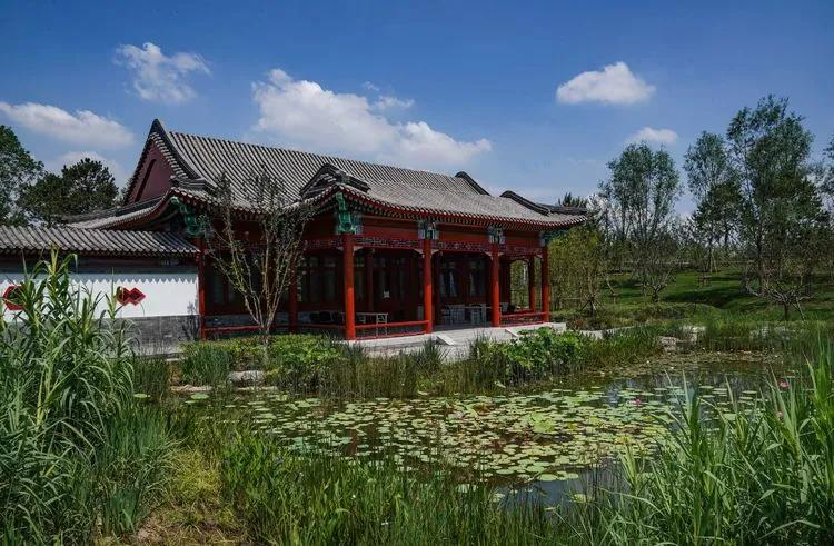 儿童乐园绿心公园,绿心公园儿童游乐区最新视频