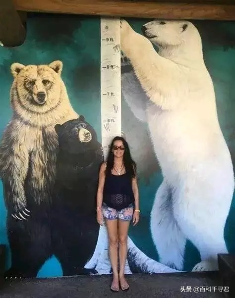 针对网上盛传的各种关于动物的谣言和误解，谈一谈我所了解的真相